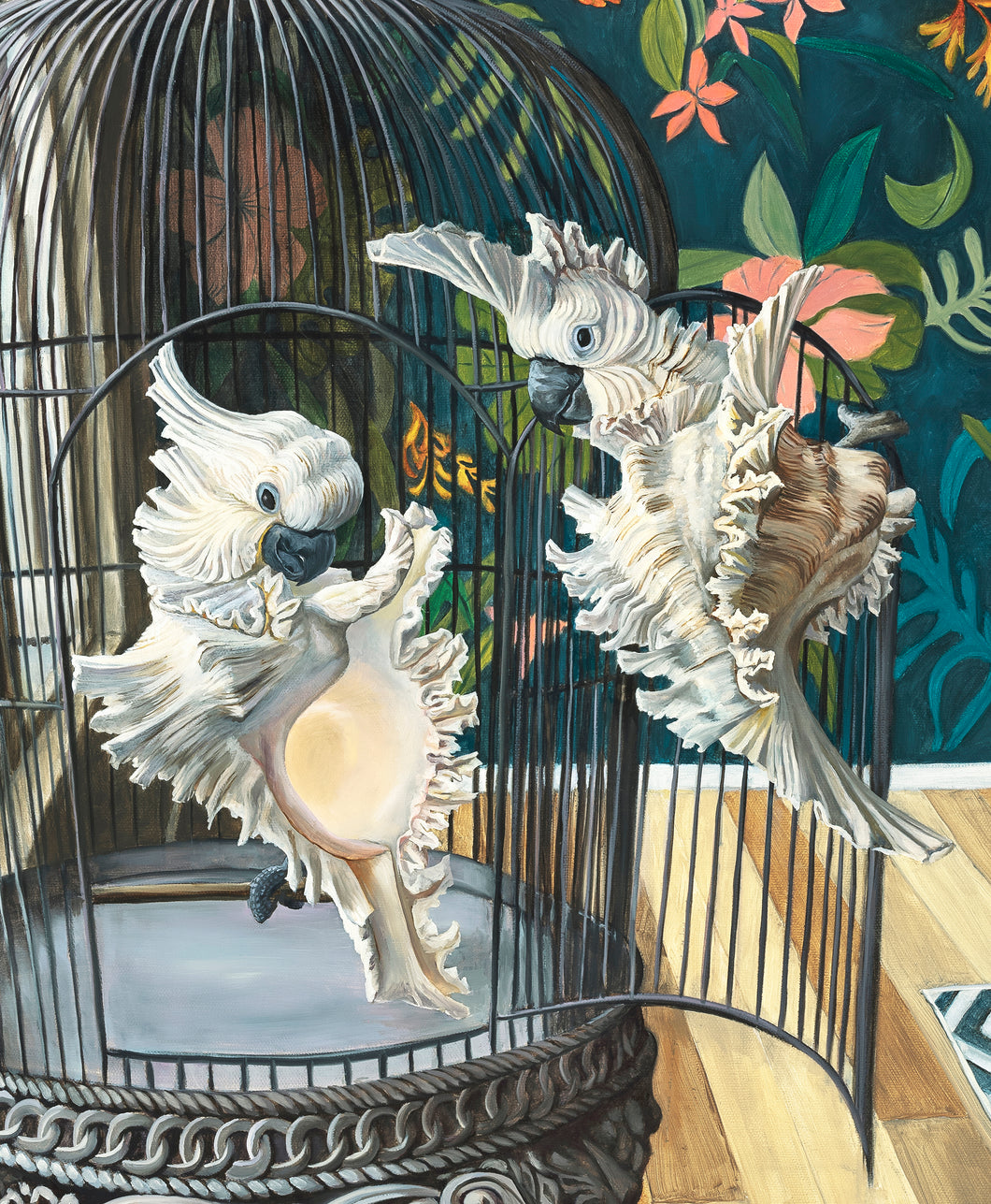 Original Cockatoo Shells