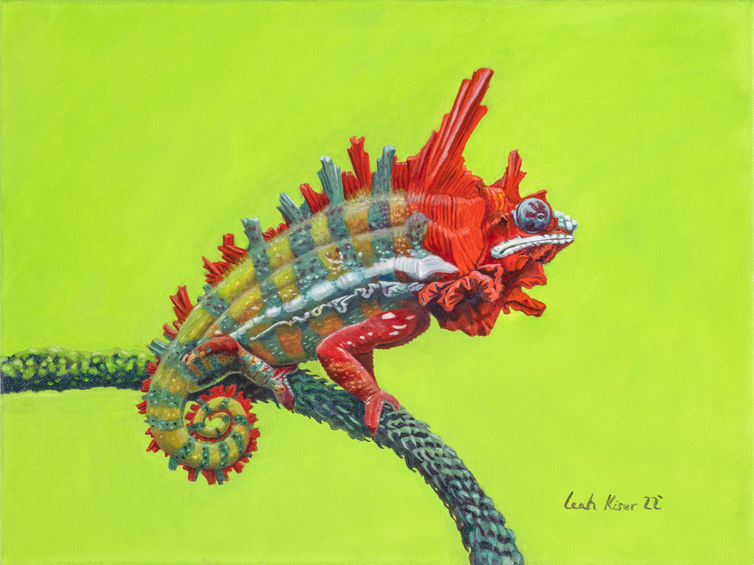 Shellmeleon Small Archival Print