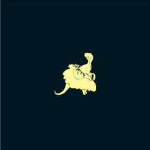 Load image into Gallery viewer, There Will Be Nonsense - Book Available Now
